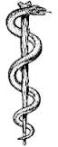 Rod_of_Asclepius (medical)