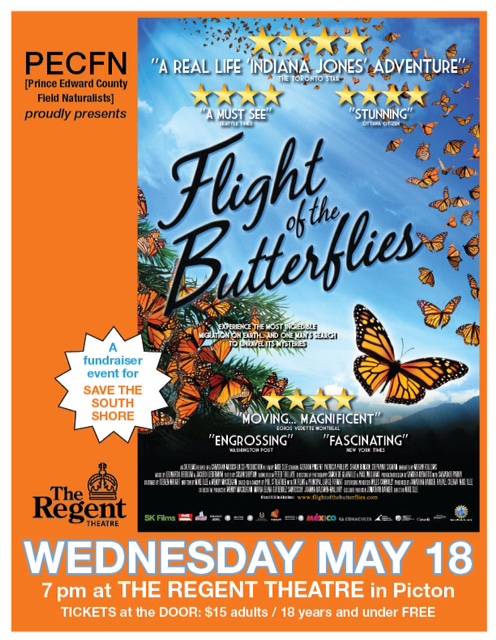 Flight_of_the_Butterflies_Web_Final_Feb19